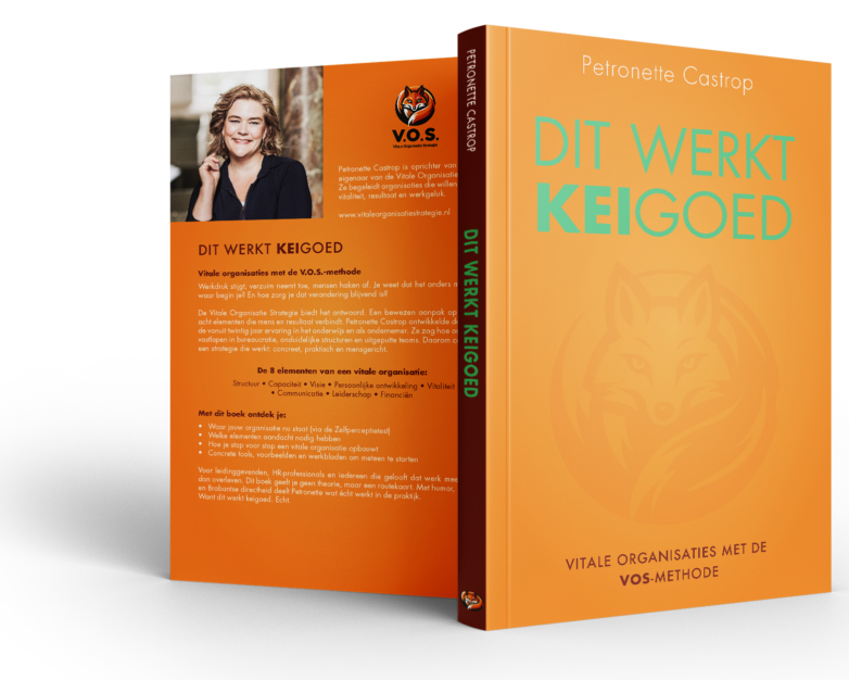 Boek: "Dit werkt Keigoed" Boek Dit werkt Keigoed