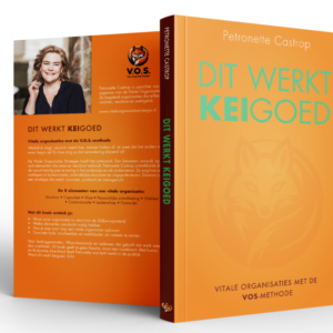 Boek: Dit Werkt Keigoed